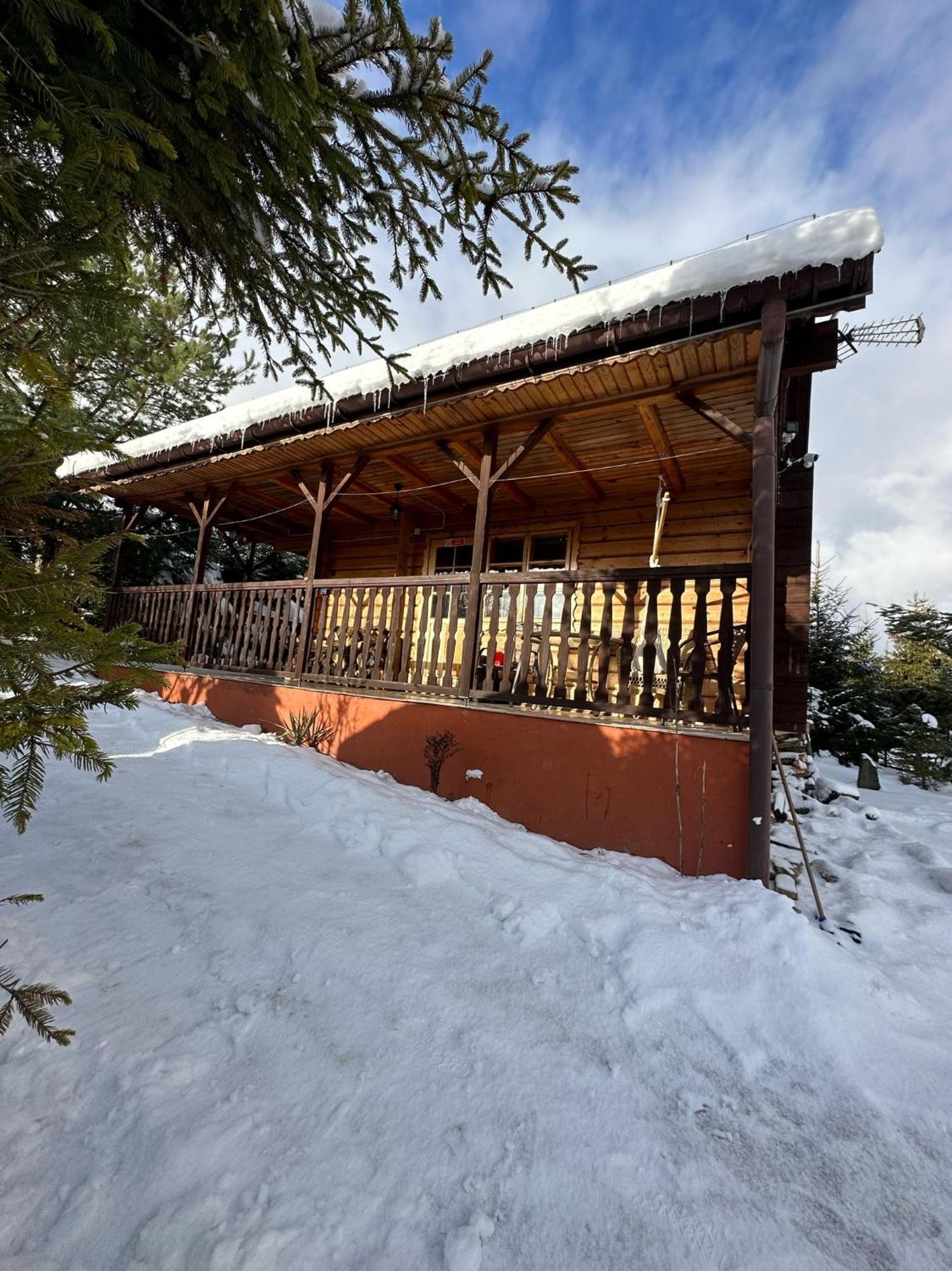בוקובייץ Urocza Chata Z Sauna W Bieszczadzkim Parku Krajobrazowym מראה חיצוני תמונה